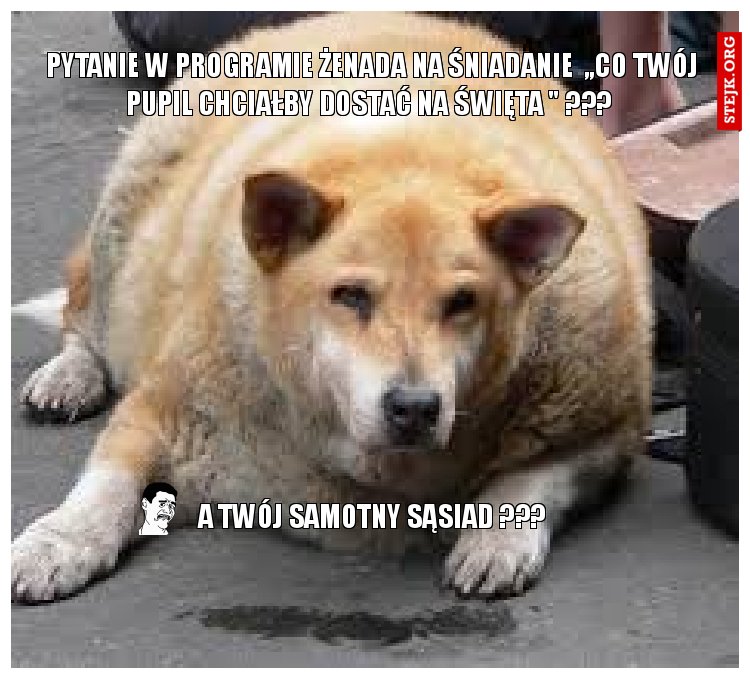 PYTANIE W PROGRAMIE ŻENADA NA ŚNIADANIE  ,,CO TWÓJ PUPIL CHCIAŁBY DOSTAĆ NA ŚWIĘTA " ??? 