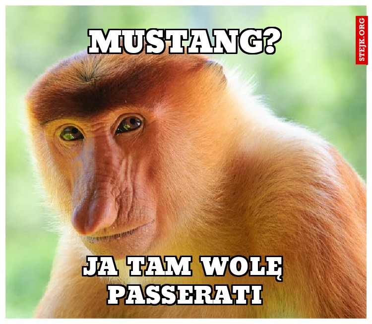 mustang?