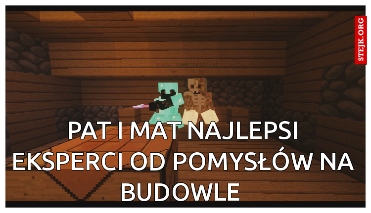 Pat i Mat najlepsi eksperci od pomysłów na budowle 