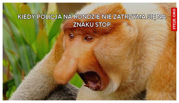 Kiedy policjant na rondzie nie zatrzyma się na znaku stop