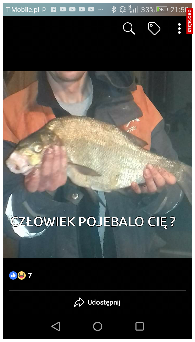 CZŁOWIEK POJEBALO CIĘ ?