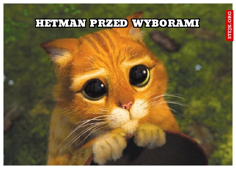 Hetman po wyborach
