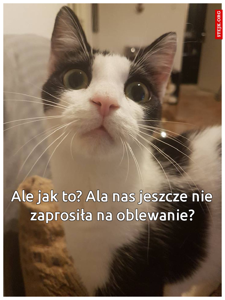 Ale jak to? Ala nas jeszcze nie zaprosiła na oblewanie?