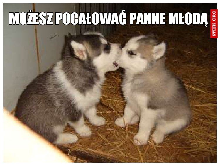 Możesz Pocałować Panne młodą