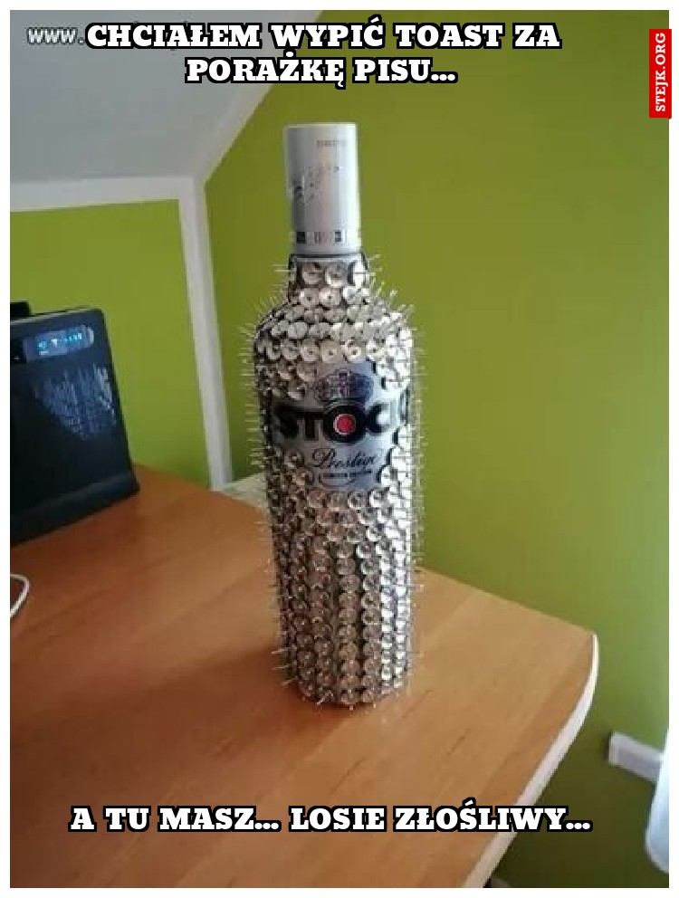 Chciałem wypić toast za porażkę pisu... 