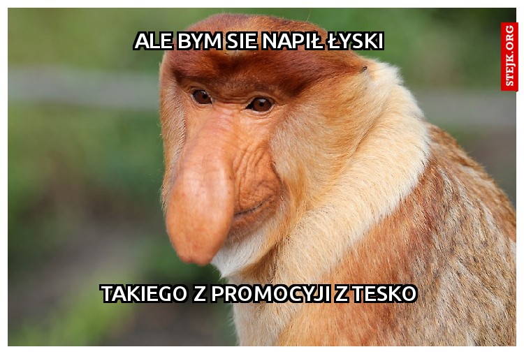 ale bym sie napił łyski