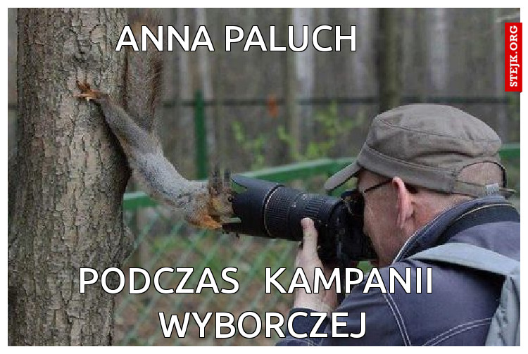 anna paluch