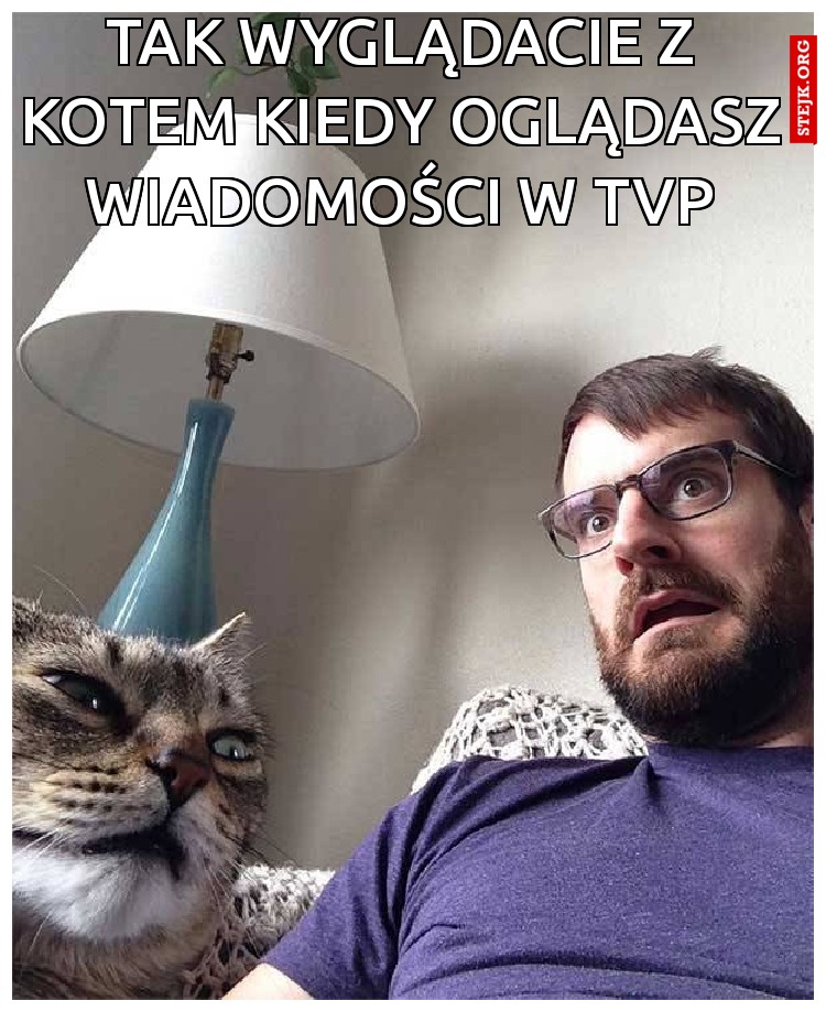 Tak wyglądacie z kotem kiedy oglądasz wiadomości w tvp