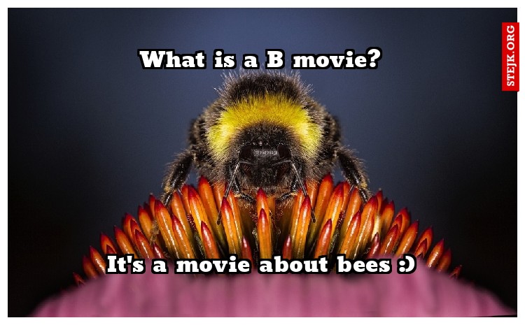 What is a B movie?