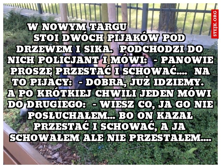   w nowym targu                     Stoi dwóch pijaków pod drzewem i sika.  Podchodzi do nich policjant i mówi:  - Panowie proszę przestać i schować....  Na to pijacy:  - Dobra, już idziemy.  A po krótkiej chwili jeden mówi do drugiego:  - Wiesz co, ja go nie posłuchałem... bo on kazał przestać i schować, a ja schowałem ale nie przestałem....