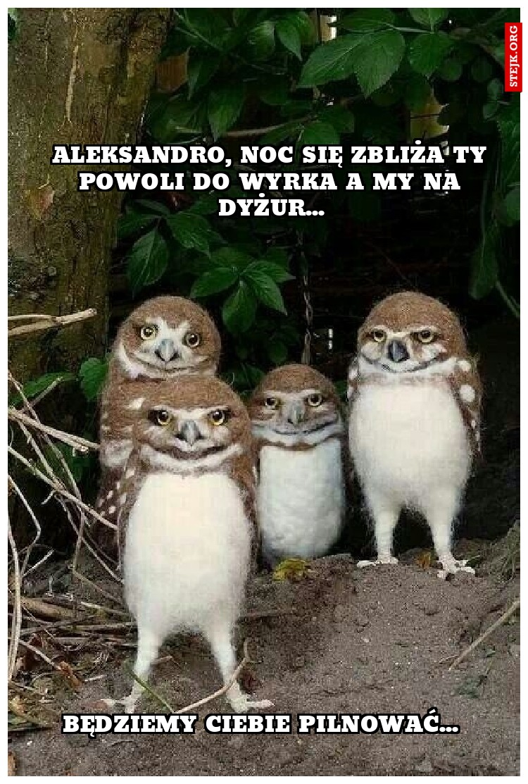 aleksandro, noc się zbliża ty powoli do wyrka a my na dyżur...