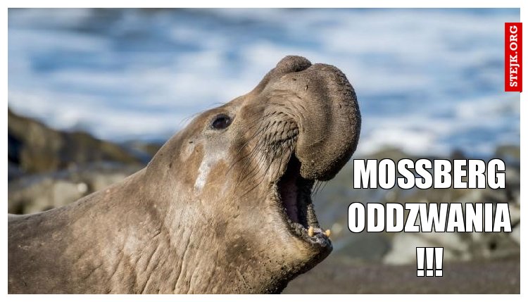 MOSSBERG ODDZWANIA !!!