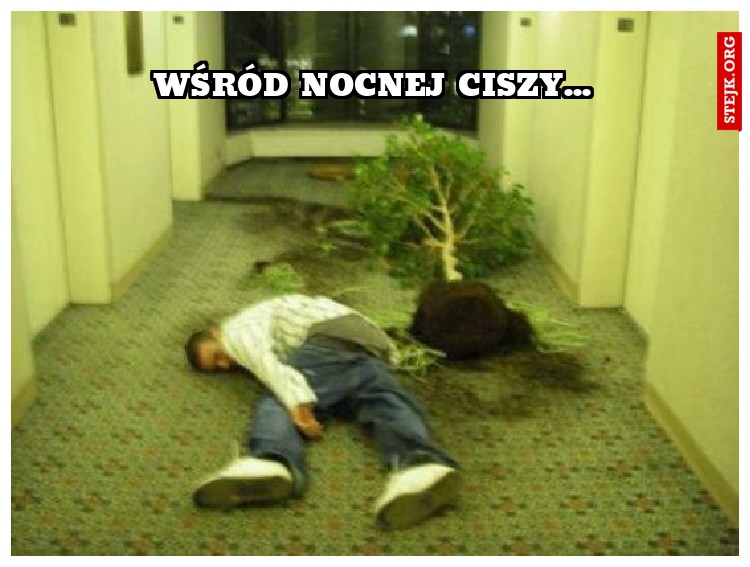 wśród nocnej ciszy...