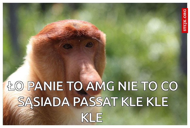 Ło panie to amg nie to co sąsiada passat kle kle kle 