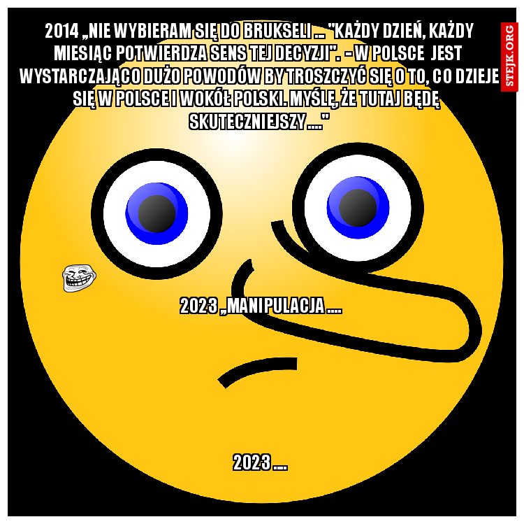 2014 ,,nie wybieram się do Brukseli ... "każdy dzień, każdy miesiąc potwierdza sens tej decyzji".  - W Polsce  jest  wystarczająco dużo powodów by troszczyć się o to, co dzieje się w Polsce i wokół Polski. Myślę, że tutaj będę   skuteczniejszy ...."
