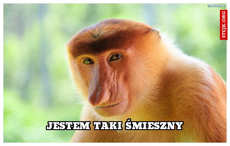 jestem taki śmieszny