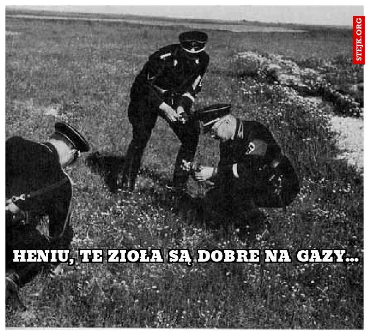 heniu, te zioła są dobre na gazy...