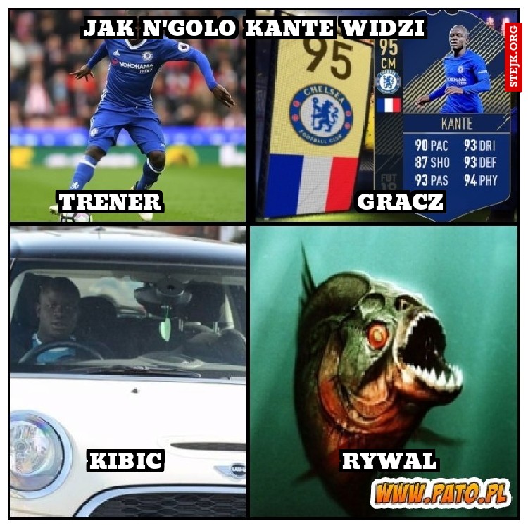Jak n'golo kante widzi