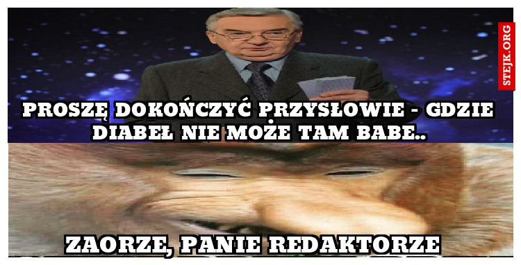 ZAORZE PROFESORZE BABE REDAKTORZE