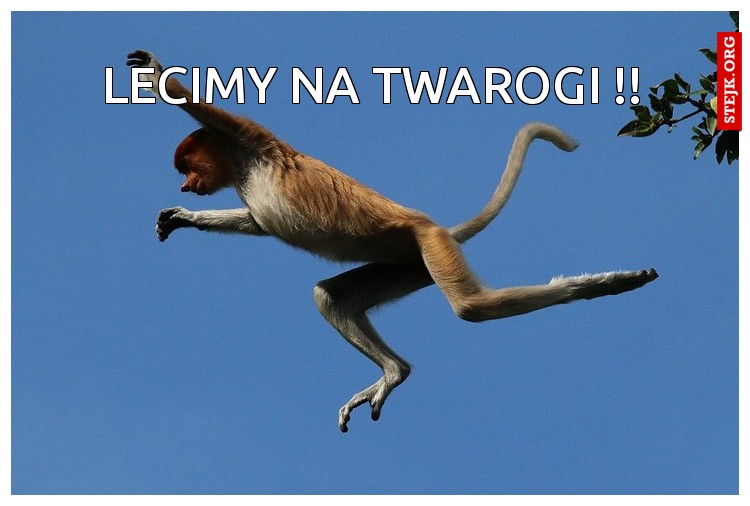 Lecimy na Twarogi !!