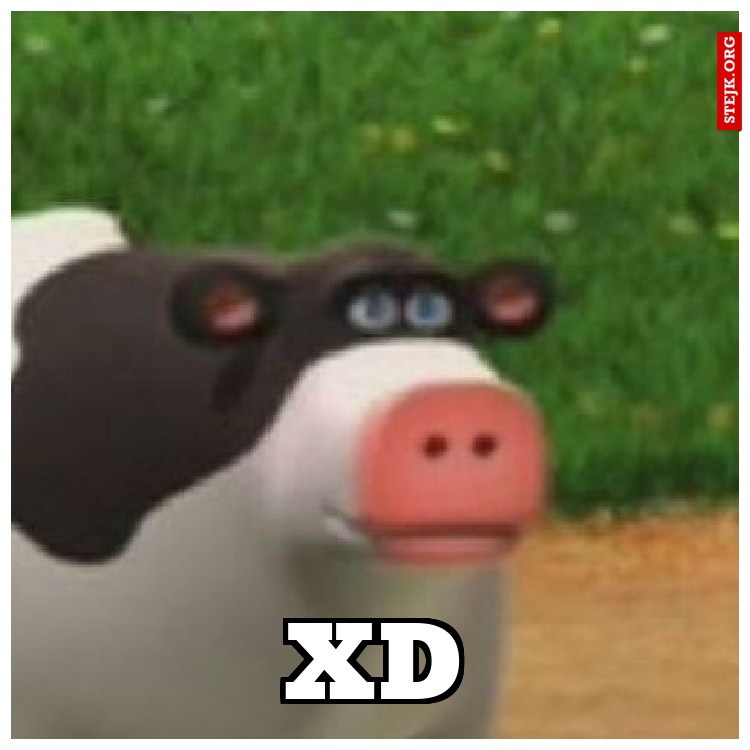 XD krowa