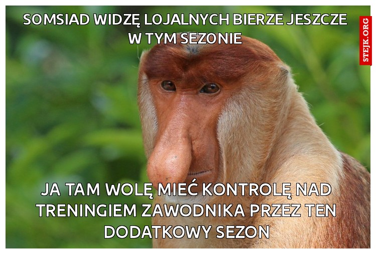 Somsiad widzę lojalnych bierze jeszcze w tym sezonie