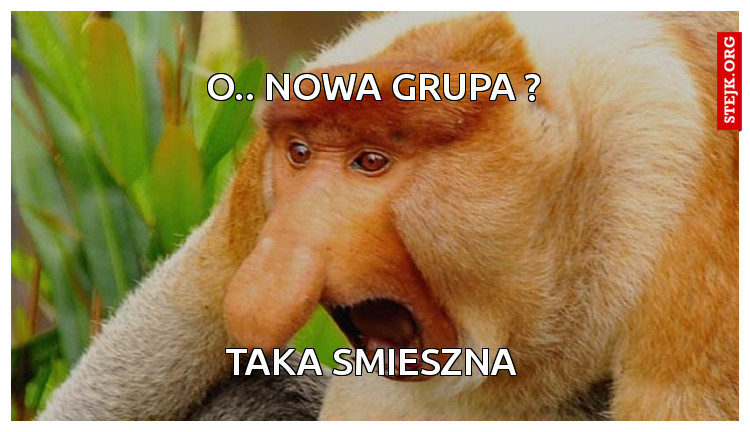 O.. nowa grupa ?