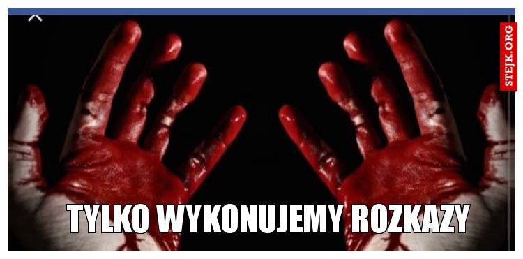Tylko wykonujemy rozkazy