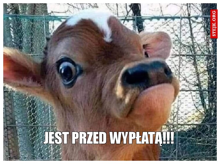 jest przed wypłatą!!!