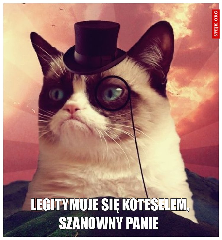 Legitymuje się koteselem, Szanowny Panie 