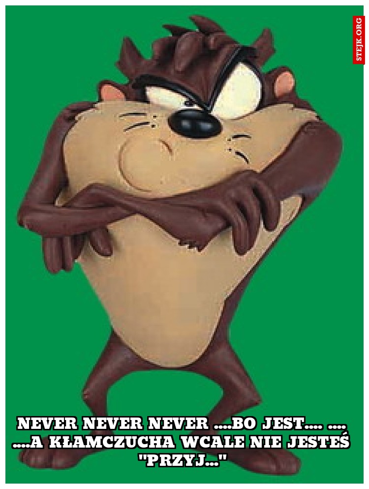 Never never never ....bo jest.... .... ....a kłamczucha wcale nie jesteś "przyj..."