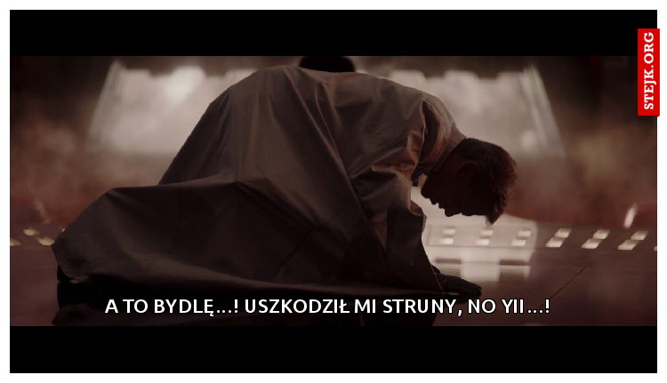 A to bydlę…! Uszkodził mi struny, no yii…! 