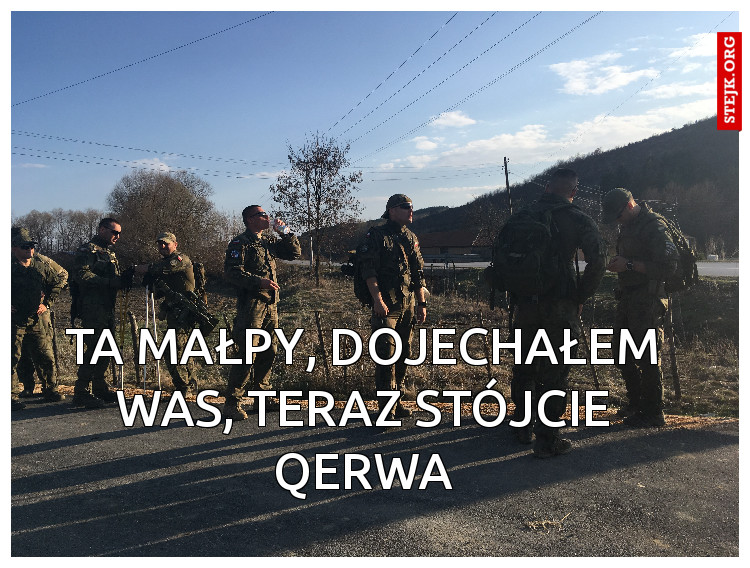 Ta małpy, dojechałem was, teraz stójcie qerwa