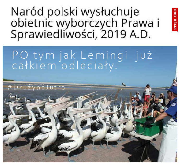 #DrużynaJutra