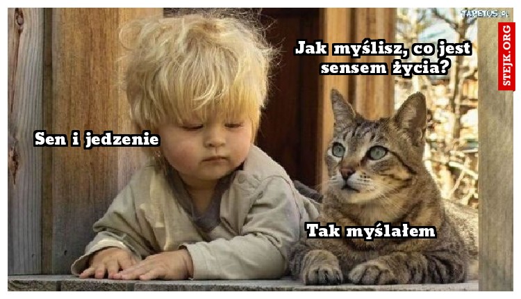 Jak myślisz, co jest sensem życia?