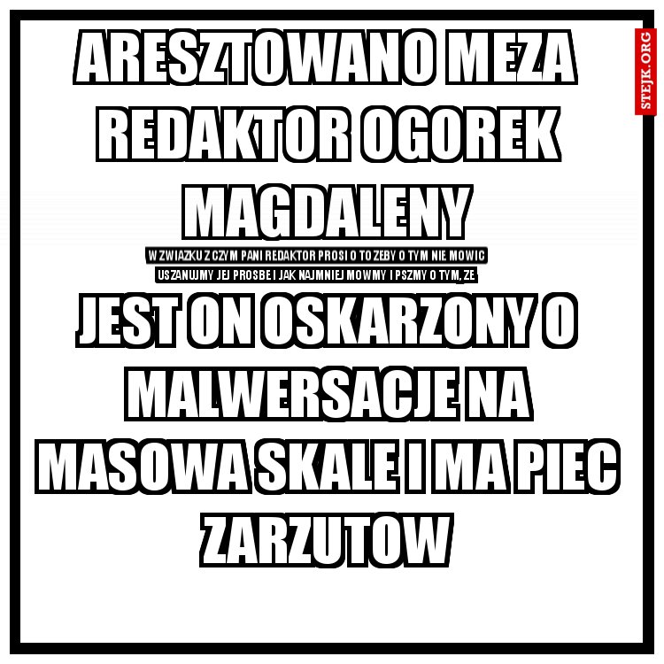 aresztowano MEZA redaktor Ogorek magdaleny