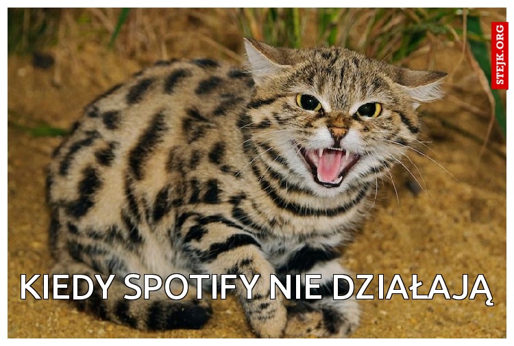 Kiedy spotify nie działają