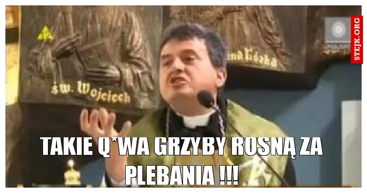 Takie Q*wa grzyby rosną za plebanią !!!