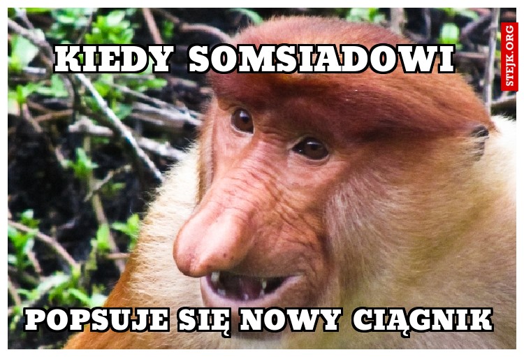 Kiedy somsiadowi 