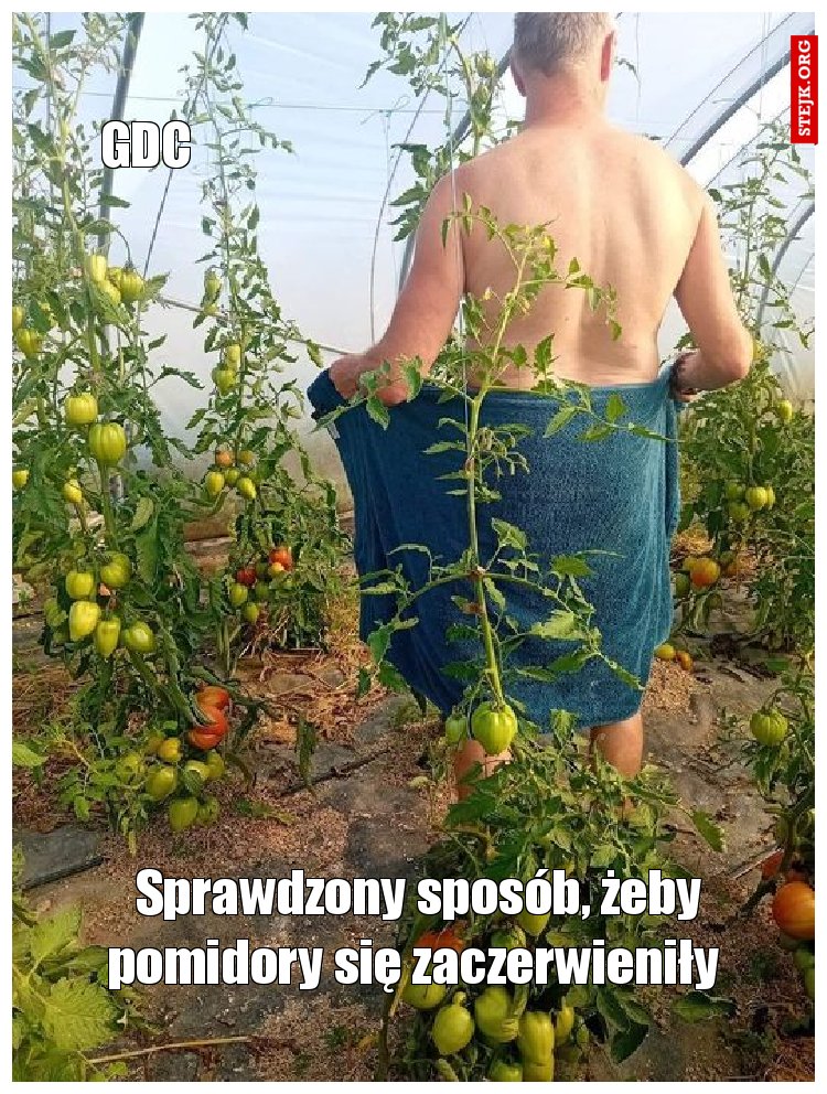 Sprawdzony sposób, żeby pomidory się zaczerwieniły 