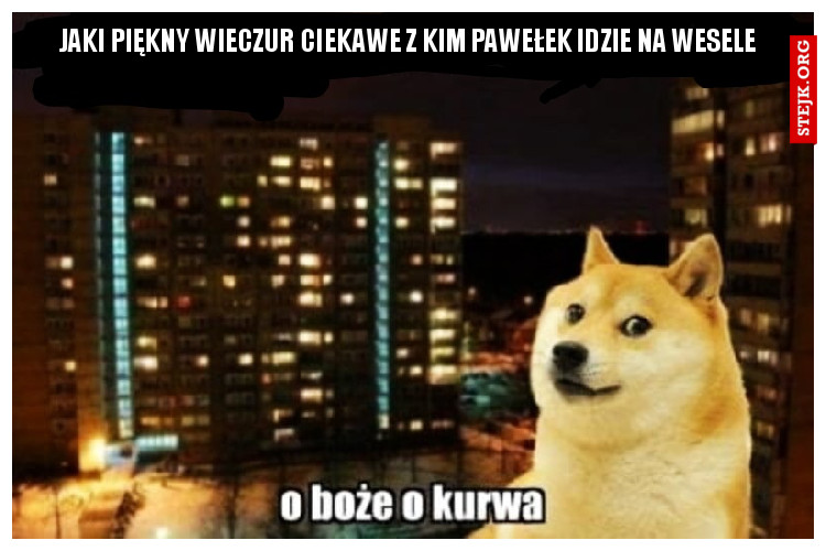 Jaki piękny wieczur ciekawe z kim Pawełek idzie na wesele