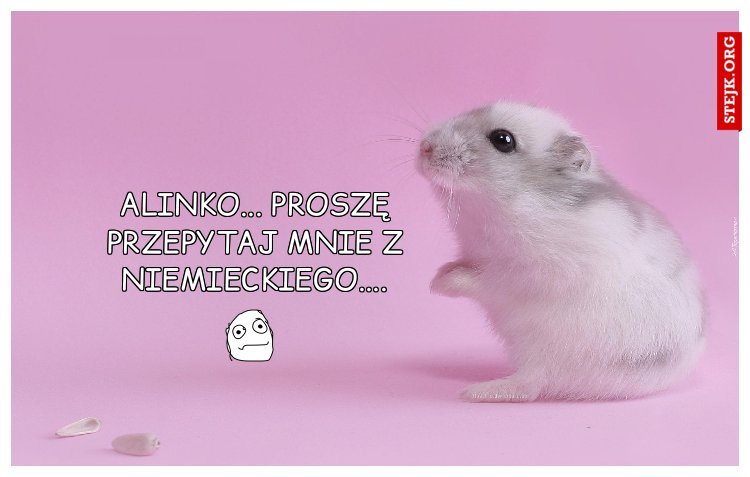 Alinko... proszę przepytaj mnie z niemieckiego....