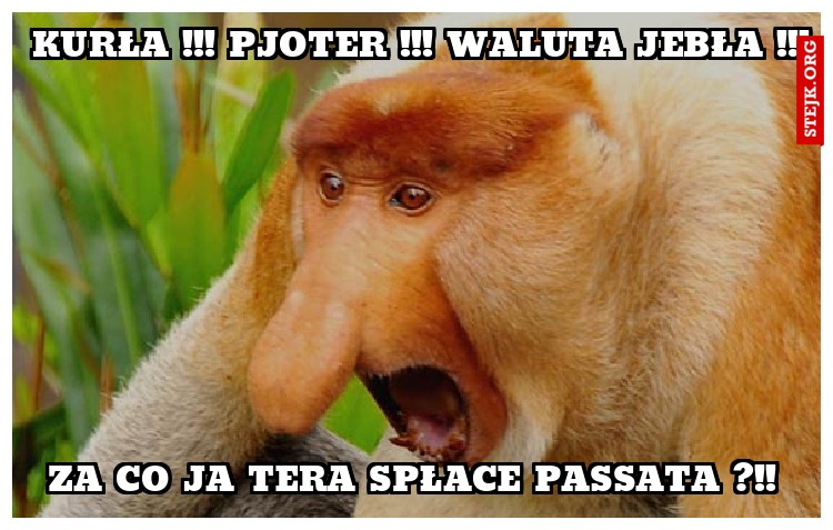KURŁA !!! PJOTER !!! WALUTA JEBŁA !!!