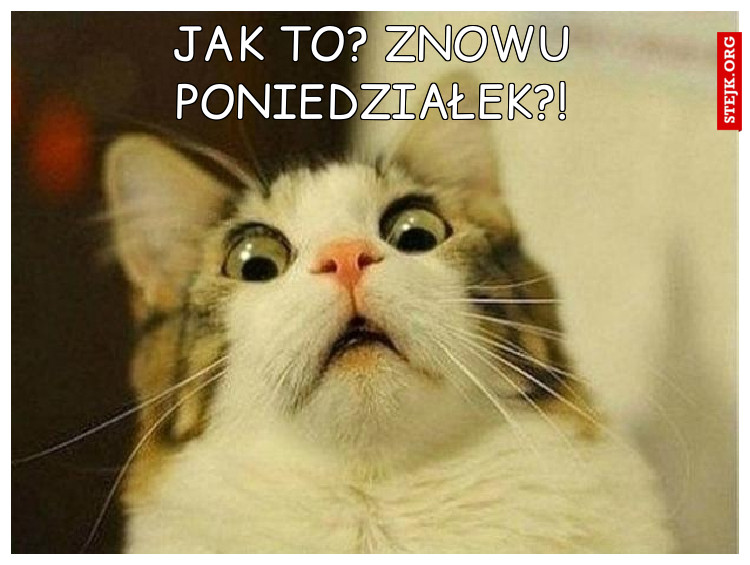 jak to? znowu poniedziałek?!