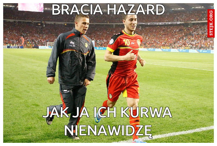 Bracia hazard