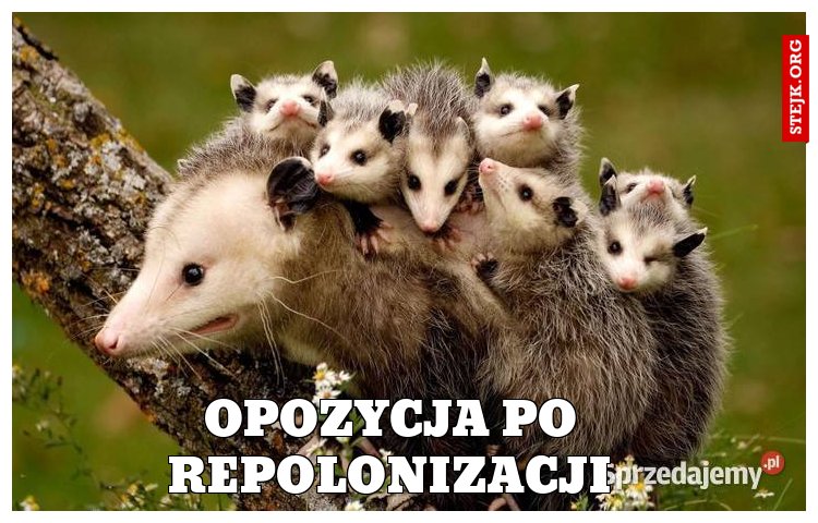 Opozycja po repolonizacji