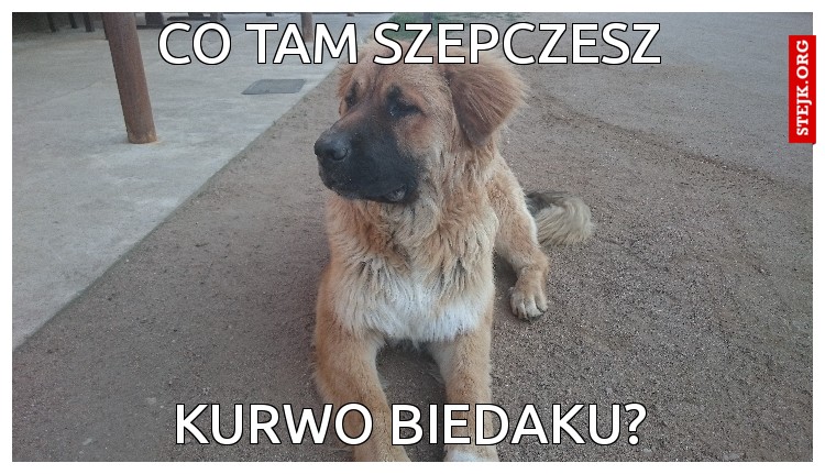 Co tam szepczesz