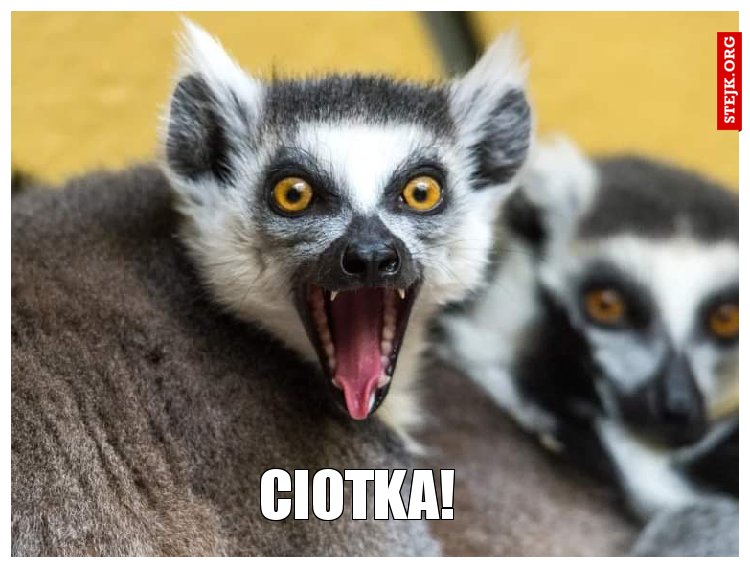 ciotka!
