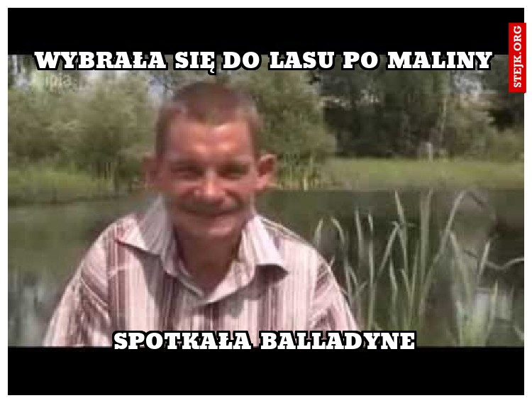 wybrała się do lasu po maliny