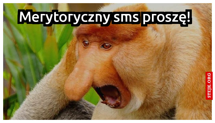 Merytoryczny sms proszę! 
